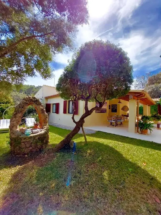 Can Bennassar Cala San Vicente  Holiday home Cala San Vicente (Mallorca)
